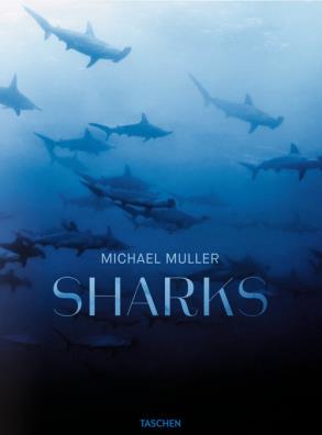 Michael muller. sharks. ediz. inglese