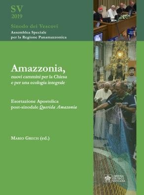 Amazzonia, nuovi cammini per la chiesa e per una ecologia integrale. esortazione apostolica post - sinodale querida amazonia