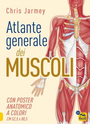 Atlante generale dei muscoli. con poster anatomico a colori