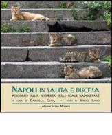 Napoli in salita e discesa. percorso alla scoperta delle scale napoletane