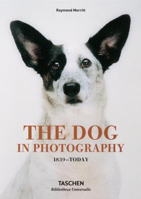 The dog in photography 1839 - today. ediz. inglese, francese e tedesca 