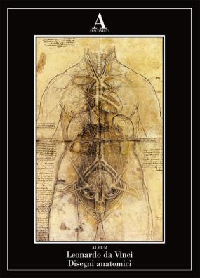 Disegni anatomici. ediz. illustrata