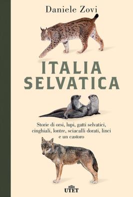 Italia selvatica storie di orsi, lupi, gatti selvatici, cinghiali, lontre, sciacalli dorati, linci e un castoro