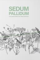 Sedum pallidum. una pianta aliena tra i binari del tram