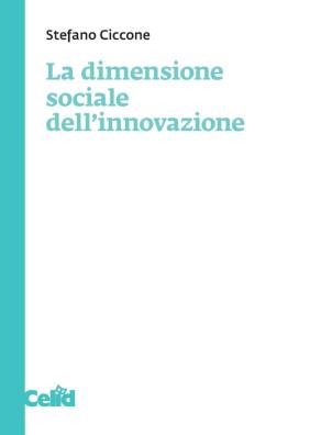 La dimensione sociale dellinnovazione