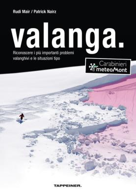 Valanga. riconoscere le 10 più importanti situazioni tipo di pericolo valanghe. ediz. ampliata